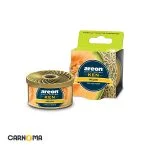 areon-can-air-freshener-melon